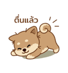 マランちゃんの毎日が楽しい！タイ語（個別スタンプ：13）