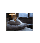 景色を眺めるうさぎちゃん9（個別スタンプ：7）