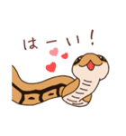 ボールパイソンずスタンプ(日常)（個別スタンプ：11）