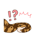 ボールパイソンずスタンプ(日常)（個別スタンプ：12）