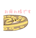 ボールパイソンずスタンプ(日常)（個別スタンプ：15）