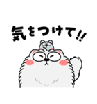 もふもふ猫★よく使う言葉（再販）（個別スタンプ：5）