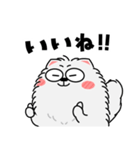 もふもふ猫★よく使う言葉（再販）（個別スタンプ：10）