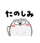 もふもふ猫★よく使う言葉（再販）（個別スタンプ：22）