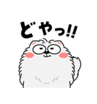 もふもふ猫★よく使う言葉（再販）（個別スタンプ：25）