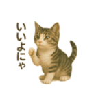にゃんにゃんスタンプ 猫まっしぐら（個別スタンプ：4）
