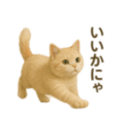にゃんにゃんスタンプ 猫まっしぐら（個別スタンプ：7）