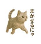 にゃんにゃんスタンプ 猫まっしぐら（個別スタンプ：8）