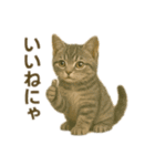 にゃんにゃんスタンプ 猫まっしぐら（個別スタンプ：9）