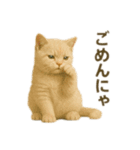 にゃんにゃんスタンプ 猫まっしぐら（個別スタンプ：10）