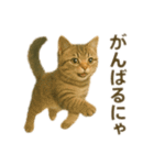 にゃんにゃんスタンプ 猫まっしぐら（個別スタンプ：11）