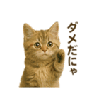 にゃんにゃんスタンプ 猫まっしぐら（個別スタンプ：18）