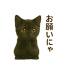 にゃんにゃんスタンプ 猫まっしぐら（個別スタンプ：20）