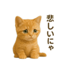 にゃんにゃんスタンプ 猫まっしぐら（個別スタンプ：24）