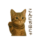 にゃんにゃんスタンプ 猫まっしぐら（個別スタンプ：25）