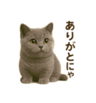 にゃんにゃんスタンプ 猫まっしぐら（個別スタンプ：29）