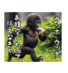 ウッホウッホ伝えるゴリラ【面白い・動物】（個別スタンプ：9）