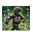 ウッホウッホ伝えるゴリラ【面白い・動物】（個別スタンプ：13）