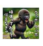 ウッホウッホ伝えるゴリラ【面白い・動物】（個別スタンプ：15）