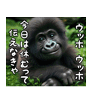 ウッホウッホ伝えるゴリラ【面白い・動物】（個別スタンプ：16）