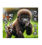 ウッホウッホ伝えるゴリラ【面白い・動物】（個別スタンプ：17）