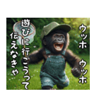 ウッホウッホ伝えるゴリラ【面白い・動物】（個別スタンプ：19）