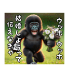 ウッホウッホ伝えるゴリラ【面白い・動物】（個別スタンプ：20）