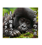 ウッホウッホ伝えるゴリラ【面白い・動物】（個別スタンプ：21）