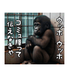 ウッホウッホ伝えるゴリラ【面白い・動物】（個別スタンプ：23）