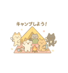 いっしょにねこたちとアクティビティ！（個別スタンプ：15）