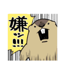 元気だね！！動物共2（個別スタンプ：21）