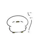 なんだかゆるいアヒル（個別スタンプ：1）