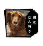 もみすず（個別スタンプ：7）