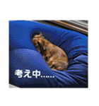 もみすず（個別スタンプ：11）