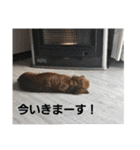 もみすず（個別スタンプ：16）