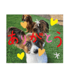 もみすず（個別スタンプ：18）