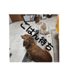 もみすず（個別スタンプ：20）