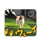 もみすず（個別スタンプ：26）