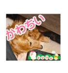 もみすず（個別スタンプ：28）