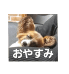 もみすず（個別スタンプ：31）