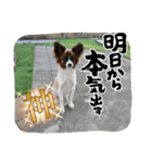 もみすず（個別スタンプ：35）