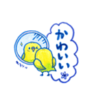 インコのトトちゃん（個別スタンプ：1）