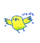 インコのトトちゃん（個別スタンプ：5）