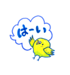 インコのトトちゃん（個別スタンプ：6）