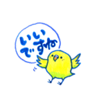 インコのトトちゃん（個別スタンプ：11）