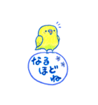 インコのトトちゃん（個別スタンプ：24）