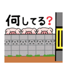 子ブタ3きょうだい  毎日使えるスタンプ12（個別スタンプ：34）