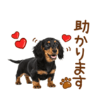 敬語で伝える♡ミニチュアダックス（個別スタンプ：19）