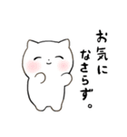 丁寧なネコちゃん（個別スタンプ：8）
