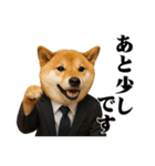 敬語で働く柴犬 / 仕事・日常会話（個別スタンプ：1）